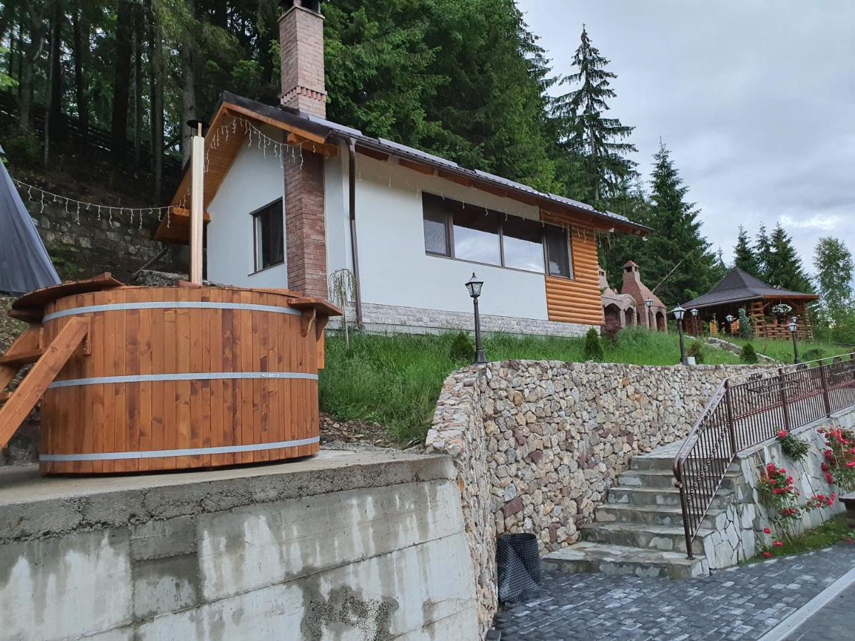 Casa Sofia Bucovina Ξενοδοχείο Ciumirna Εξωτερικό φωτογραφία