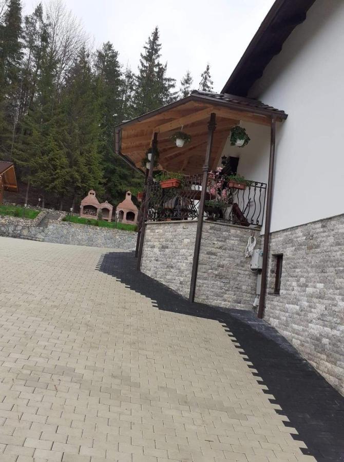 Casa Sofia Bucovina Ξενοδοχείο Ciumirna Εξωτερικό φωτογραφία