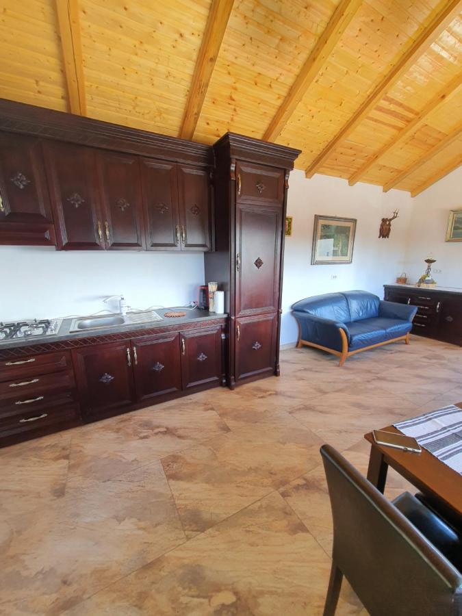 Casa Sofia Bucovina Ξενοδοχείο Ciumirna Εξωτερικό φωτογραφία