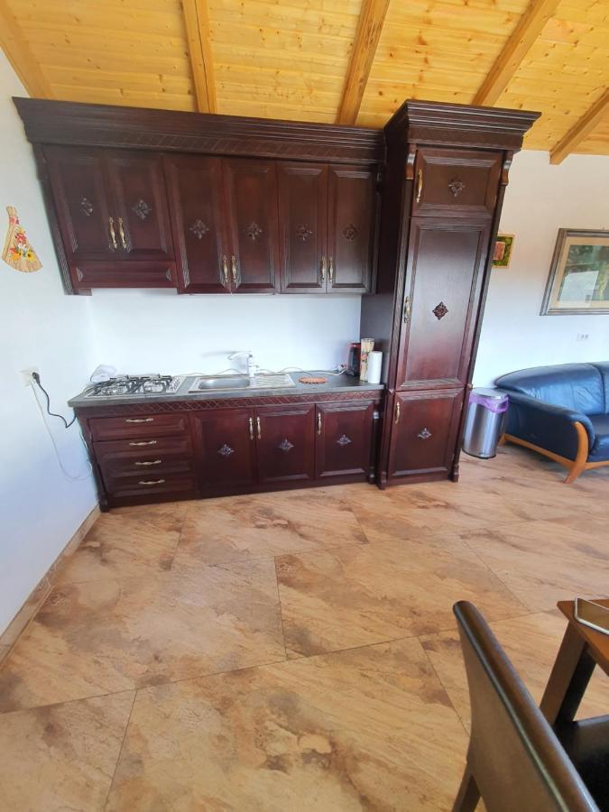Casa Sofia Bucovina Ξενοδοχείο Ciumirna Εξωτερικό φωτογραφία