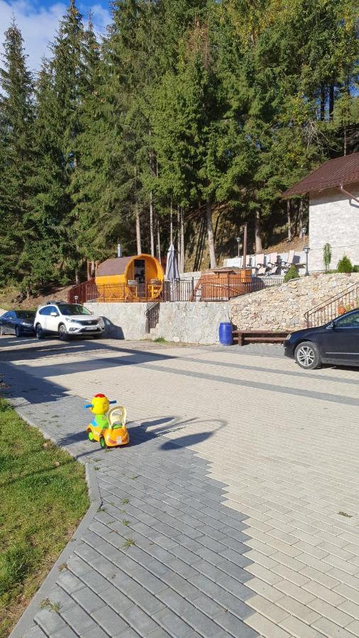 Casa Sofia Bucovina Ξενοδοχείο Ciumirna Εξωτερικό φωτογραφία